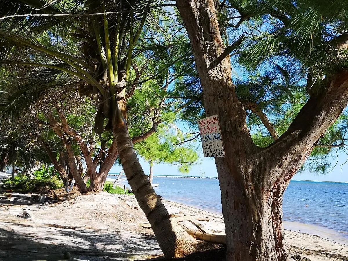 Xcalak Caribe Lodge